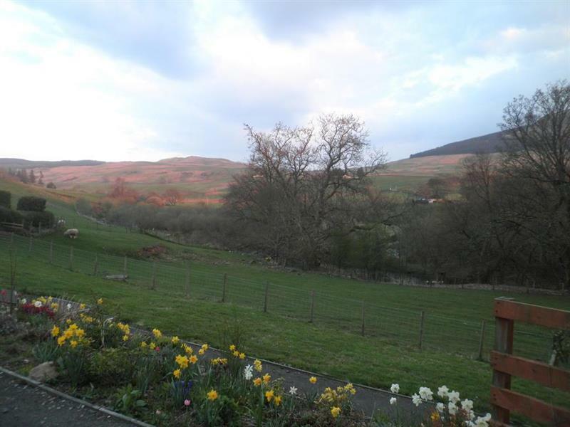 Rockfoot B&B Fintry Dış mekan fotoğraf
